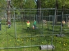 dscf0699