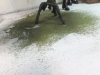 dscf1118