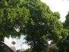 20170608_110837