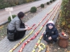 dscf7182