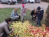 dscf7194