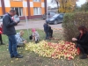 dscf7196