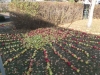 dscf7226
