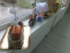 dscf1084