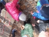 dscf7142