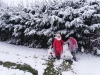 20171201_115001